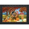 Turkey And Pumpkins Fall Doormat Thanksgiving Farm Autumn 30" X 18" Briarwood Lane