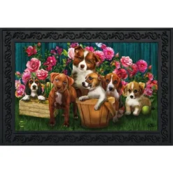 In The Garden Spring Doormat Indoor Outdoor 30" X 18" Briarwood Lane