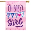 Baby Girl Double-Sided House Flag 28" X 40" Briarwood Lane