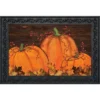 Briarwood Lane Rustic Pumpkin Patch Fall Doormat Autumn Indoor /