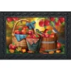Briarwood Lane Harvest Apple Basket Fall Doormat Bluebirds Picnic Indoor Outdoor 30" X 18"